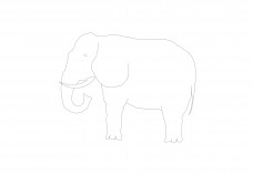 Elephant | FREE AUTOCAD BLOCKS