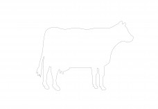 Cow | FREE AUTOCAD BLOCKS