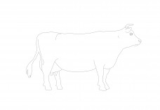 Cow | FREE AUTOCAD BLOCKS