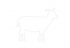 Goat | FREE AUTOCAD BLOCKS