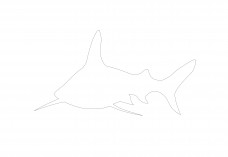 Shark | FREE AUTOCAD BLOCKS