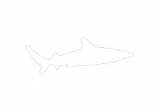 Shark | FREE AUTOCAD BLOCKS