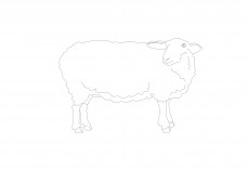 Sheep | FREE AUTOCAD BLOCKS