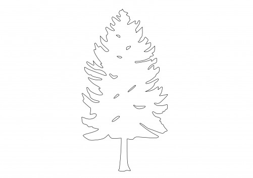 Tree Elevation 