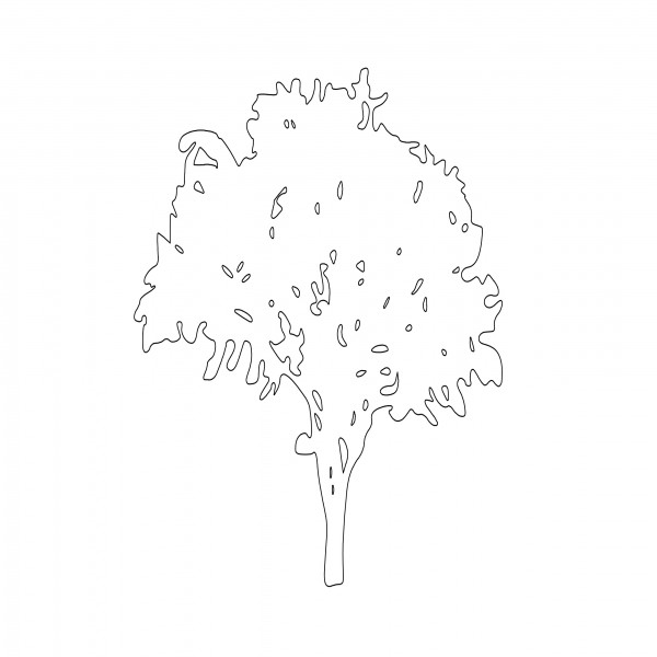 TREE ELEVATION | FREE CADS